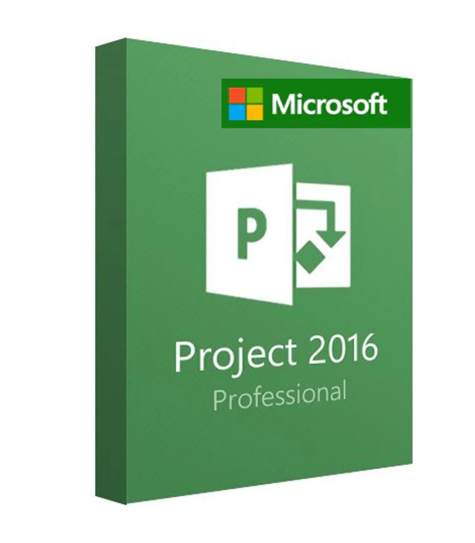 Microsoft Project Professional 2016 – Microsoft Key (Global) Microsoft Project Professional 2016 – Microsoft Key (Global)